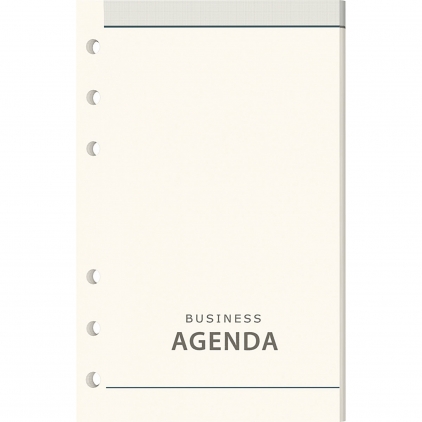 Set 10 Creioane Pastel Metalizat Carandache Neocolor I Rezerva organizer B6 Precision Rezerva Organizer Dictando