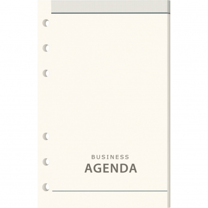 Set 10 Creioane Pastel Metalizat Carandache Neocolor I Rezerva organizer B6 Precision Rezerva Organizer Dictando
