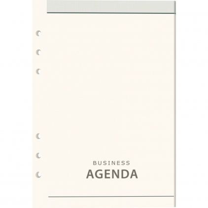 Set 10 Creioane Pastel Metalizat Carandache Neocolor I Rezerva organizer A5 Precision Rezerva Organizer Dictando