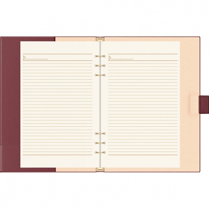 Organizer Precision Trend A5 6 inele Black Lined Organizer A4 6 inele  Precision Novaskin Burgundy Lined