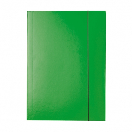 Mapa tip proiect cu maner Esselte VIVIDA, PP, negru Mapa Esselte Economy din carton, cu elastic, verde