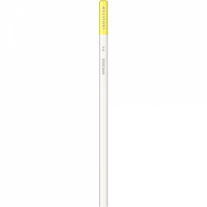 Creion Colorat Tombow Irojiten Cactus Green - D17 Creion Colorat Tombow Irojiten Narcissus - P4