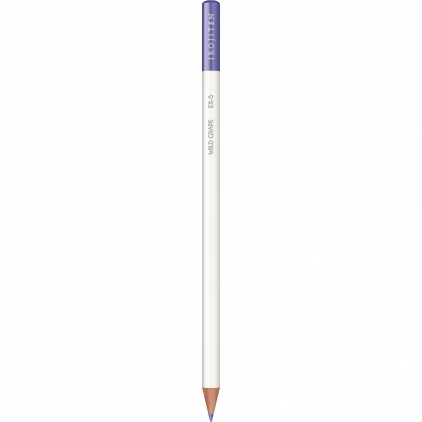 Set 12 Creioane Colorate PaperMate Twist Assorted Colors Creion Colorat Tombow Irojiten Wild Grape - EX5