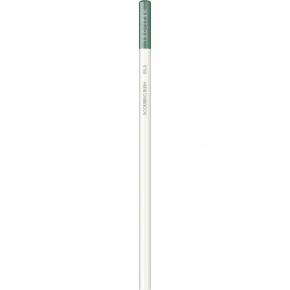 Creion Colorat Tombow Irojiten Spring Green - P15 Creion Colorat Tombow Irojiten Scouring Rush - EX3