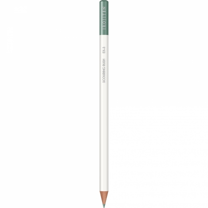 Creion Colorat Tombow Irojiten Spring Green - P15 Creion Colorat Tombow Irojiten Scouring Rush - EX3