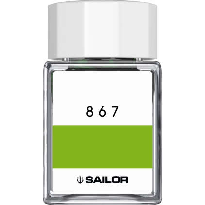 Stilou Waterman Expert Essential Stainless Steel  CT Calimara 20 ml Sailor Studio 867