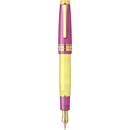 Calimara 60 ml Private Reserve Infinity Turqouise Stilou Regular Size 21k Nib Sailor Professional Gear LP Cocktail No. 3 Cyclamen GT