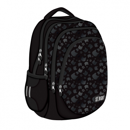 Ghiozdan BP26 ST Right Colour Anime 3 compartimente, 39x27x17 cm Ghiozdan BP06 ST Right Black Cats 4 compartimente, 42x31x22 cm